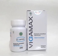 VIGAMAX HERBAL SUPLEMEN UNTUK PRIA