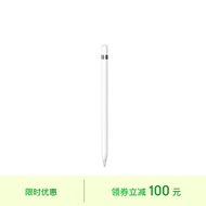 Apple Pencil (第一代) 含USB-C转换器【适用iPad mini5/iPad Air3/iPad 10.2英寸(第九/十代)】