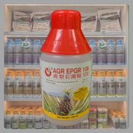 [ORIGINAL]500ML AGR EPGR 108 /Hormon nenas/Penggalak Buah nenas/Maxi PGR Ethephon 10.8%/Super Estres