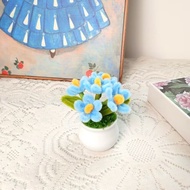 Mini Flower Pots Meaningful Gifts for Loved Ones February 14 March 8 October 20 November 21 (FLOWERS