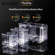 BRSELLER Fish Breeding Box, Acrylic Isolation Aquarium Breeder Box,  Feeding Access Space Separation