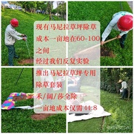 Zoysia Matrella Special Herbicide Taiwan Grass Anti-Herba Matang Grass Eleusine Indica Aconitum Cara