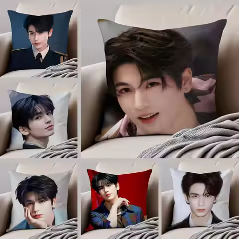 Handsome Versatile Chinese Actor Z-ZhangLingHe Cushion Cover Throw Pillow Cover Hidden Button Durabl