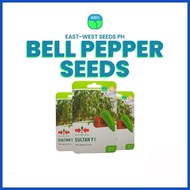 ⌚ ➮ ➜ Bell pepper Seeds Sultan F1  100 seeds