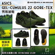 ASICS GEL-Cumulus 22 Gore-Tex 男裝波鞋