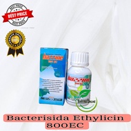 BAZZINE 800EC 100ml FUNGISIDA DAN BAKTERISIDA atasi layu fusarium