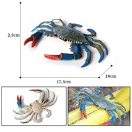 Coconut Crab Spider Crab King Crab Hermit Crab model toy childrens education scientific cognition