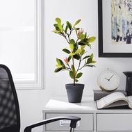 Artificial Magnolia Tree Artificial Flower Tree Artificial Plant Fake Tree Plastic Plant Magnolia Le