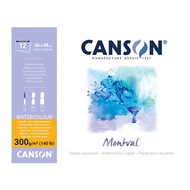 Canson (แคนสัน) สมุดมอลวัลยึดกาวด้านข้าง หนา 300g ขนาด 36×48 ซม. ผิวกึ่งหยาบ บรรุจ 12 แผ่น C200 807
