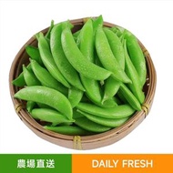 每日生鮮 - 新鮮甜豆 時令蔬菜 約300g/維他命C高過山頂纜車