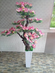 Bunga sudut ruangan tinggi 130cm.