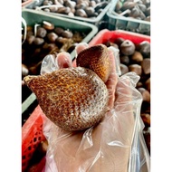 BUAH SALAK MADU (1KG) Salak Pondoh