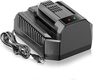 Fast Charging Replacement for EGO 56V Battery Charger CH2100,Compatible with EGO 56V Batttery BA2800