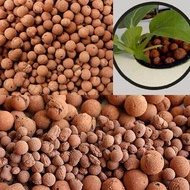 Leca clay pebbles for hydroponic aquaponic and aquascape