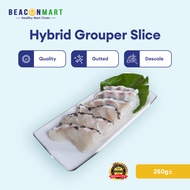 [Beacon Mart] Seafood Sabah Hybrid Grouper Slices (250g) | Sabah Hibrid Kerapu Hirisan (250g) | 龙虎斑鱼