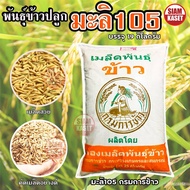 Thailand's new rice, jasmine royal high-quality rice with 50 seeds