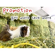 Timothy Hay/Alfalfa Hay 1kg Jerami Timothy/Alfalfa Feed for Guinea Pig Makanan Keperluan