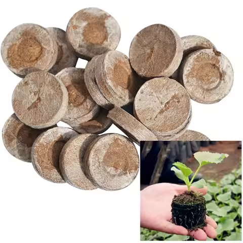 20Pcs Peat Pellets Compressed 3cm Starter Plugs Easy Operate Fast Breeding Plant Cultivation Nursery