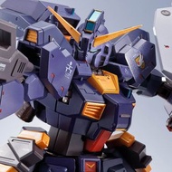 METAL ROBOT魂 TR-1 [HAZEL CUSTOM] and G-PARTS[HRUDUDU]