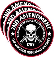 2nd Amendment The Original Homeland Security Vintage Vinyl Waterproof Stickers – Patriotic Decals fo