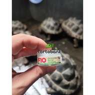 F10 GERMICIDAL BARRIER - TORTOISE WOUND OINTMENT TORTOISE FUNGAL OINTMENT SHELLROOT OINTMENT REPTILE