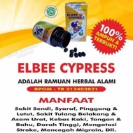 NS elbee Cypress