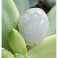 F0901F10 Natural Burmese Jadeite Lucky Pig Ventilation Hole Accessories, 12.5 * 9.5 * 10.3mm+