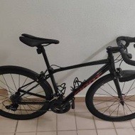 Giant scr1 ❗急放可議❗