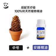 Cedar Small Potted Plant Diffuser Wood Home Use Diffusion Stone Car Healing Series Small Ornaments E