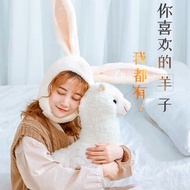 Alpaca Soft Toy 羊驼先生 Mr Alpaca Bouncy Cotton