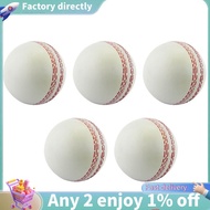 E7-Sports Cricket, Training Cricket, Sports Wind Swing Rebound  Cricket, Elastic Decompression Ball