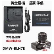 Dmw-blg10 Battery Charger GX9 GX7 GF6 LX100M2 GX85 G100 G110