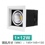 CW - LED天花筒燈【12W】【白光】