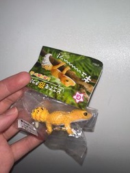 守宮扭蛋 $45 包郵