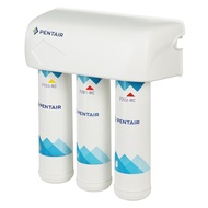 [ จัดส่งพร้อมติดตั้ง ] PENTAIR เครื่องกรองน้ำดื่ม  F-3000-B2B