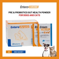 Entero-Chronic for Dog &amp; Cat 1 Sachet (4G) [EXP: 02/2027] Prebiotics &amp; Probiotics Supplement for intestinal functions