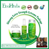 EcoHerbs Ginseng Serum Complete Set For Hair Loss, Dandruff, Dry/Oily Scalp, Damage & Break Hair, Br