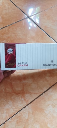 original kindle e book GUDANG GANAM terbaru