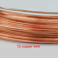 【♘COD Free Cas♘】 fka5 T2 Pure Copper Wire Conductive Solid Copper Wire Fine Copper Wire Outer Diameter 0.2 0.3 0.4 0.5 0.6 0.8 1 1.2 1.5 2 2.5 3 4 5mm