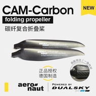 Shuangtian Germany CAM Carbon Fiber Composite Folding Paddle P5B F5K Remote Control Electric Glider 