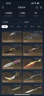 Valorant 盲盒號隨機皮膚（200以上一定有刀皮）