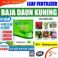 Baja Daun Kuning 10g - Fertilizer for Yellow Leaves | Improve Chlorophyll Content & Plant Growth 叶绿素