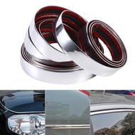 coo 5M Car Door Interior Moulding Trim?Decorative Strip Trimming Tape Silver Care Products T1Oo Trim