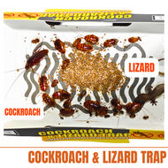 [Bundle Sales] [ New Packaging] ONS Lizard And Cockroach Trap/Lizard Repellent (Pest Control) Cockroach Trap Box Lizard Trap Box