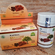 Kapsul Biji Mahoni Asli Isi 50 Kapsul