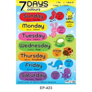 7 Days & Colors Poster (7 7 Colors) EP-423 PP Plastic Teaching Material Learning Materials