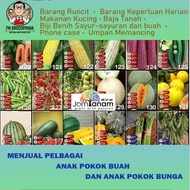 JOM TANAM 100-801BIJI BENIH JAGUNG UNGU/BENDI/TOMATO/ROCK MELON/TEMBIKAI/LABU/ASPARAGUS/EDAMAME/OKRA/WATERMELON SEED