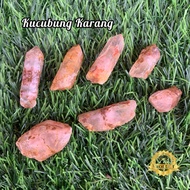 Genuine Kacarang Kucubung Stone Material natural Coral Kucubung Stone Chunk/ Coral Kucubung Stone Pl