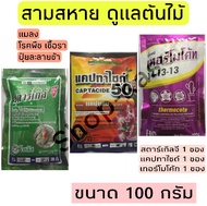 ชุด สตาร์เกิลจี 100 กรัม แคปทาไซด์ 100 กรัม เทอร์โมโค้ท 100 กรัม ชุดเดียวครบ แมลง เชื้อรา ปุ๋ยละลายช้า แคคตัส กระบองเพชร ไม้อวบน้ำ กุหลาบหิน