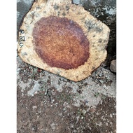 Amboyna Burl slabs 10AJY